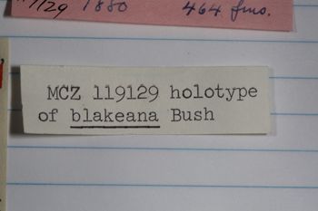 Media type: image; Malacology 119129